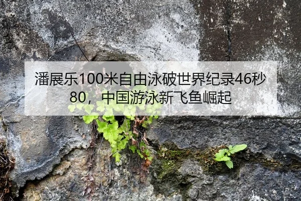 潘展乐100米自由泳破世界纪录46秒80，中国游泳新飞鱼崛起（hth）
