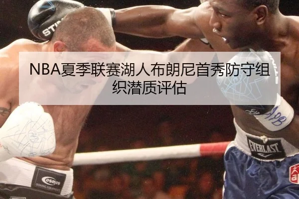 NBA夏季联赛湖人布朗尼首秀防守组织潜质评估（hth）