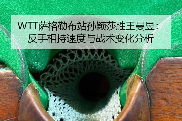 sa-ge-lei-bu-zhan-sun-ying-sha-sheng-wang-man-yu-fan-shou-xiang-chi-su-du-yu-zhan-shu-bian-hua-fen-xi-2-543.jpg