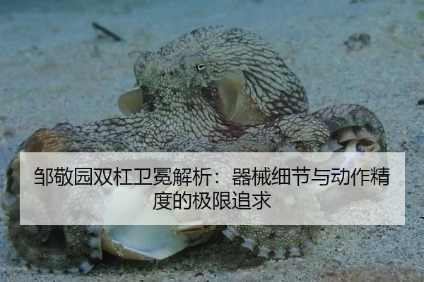 邹敬园双杠卫冕解析：器械细节与动作精度的极限追求