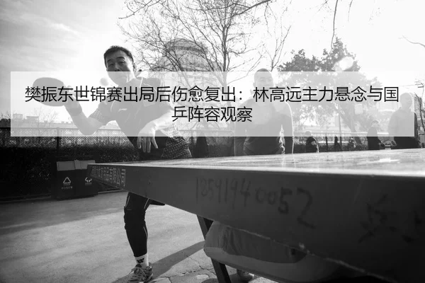 樊振东世锦赛出局后伤愈复出：林高远主力悬念与国乒阵容观察 | hth